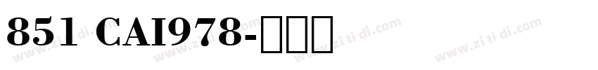 851 CAI978字体转换